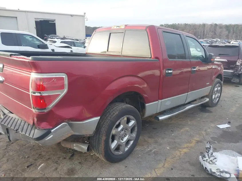 2013 FORD F-150 XLT