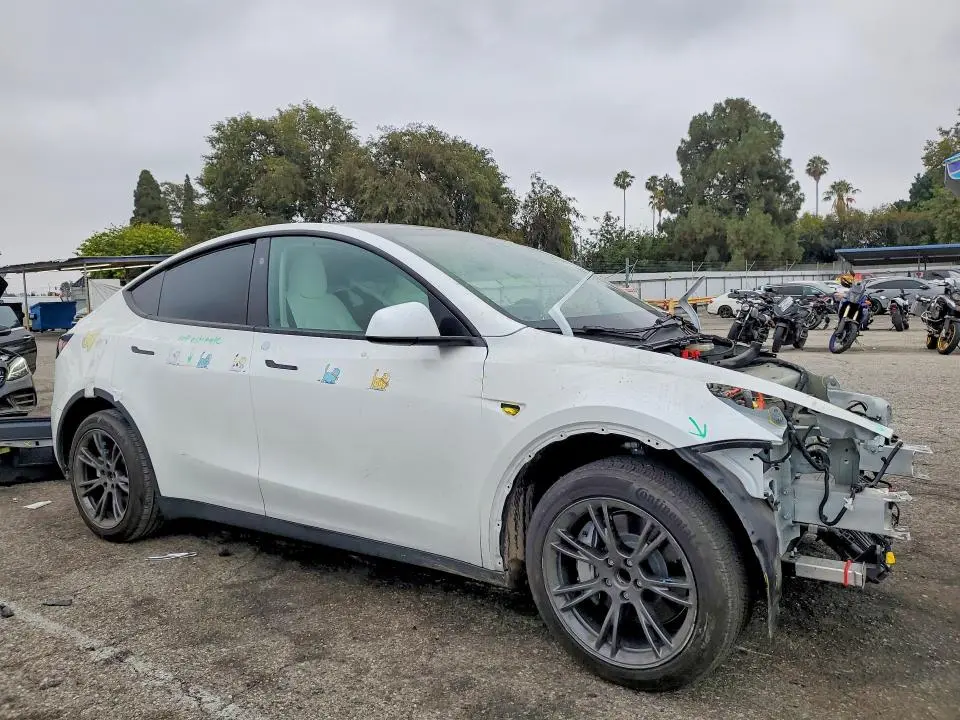 2024 TESLA MODEL Y   