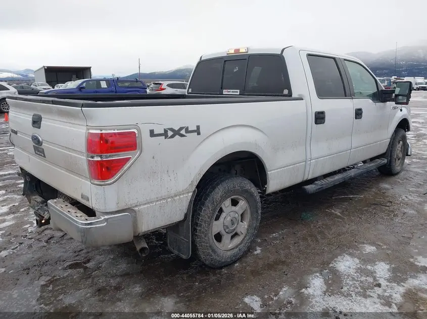 2010 FORD F-150 FX4/HARLEY-DAVIDSON/KING RANCH/LARIAT/PLATINUM/XL/XLT