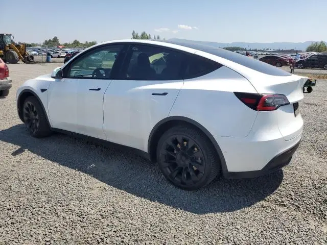 2020 TESLA MODEL Y   