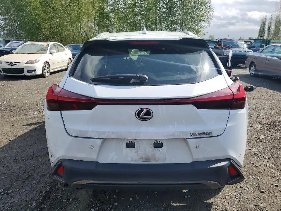 2022 LEXUS UX 250H F SPORT  