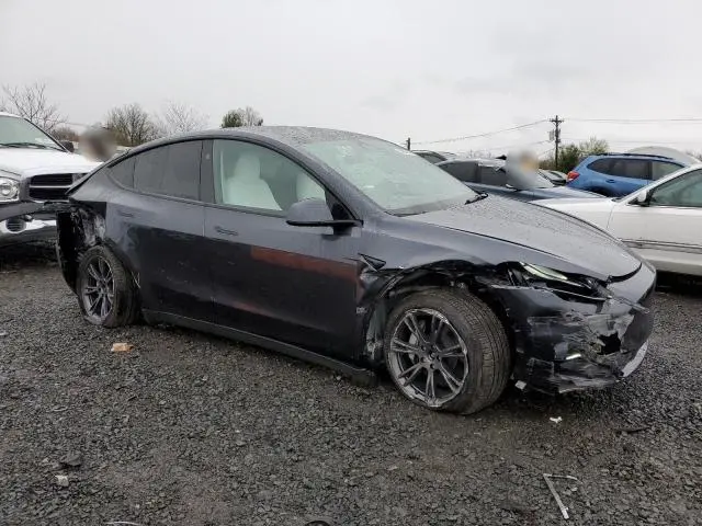2025 TESLA MODEL Y 