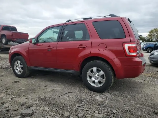 2011 FORD ESCAPE LIMITED  