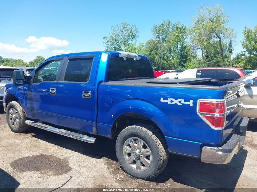 2010 FORD F-150 XL/XLT