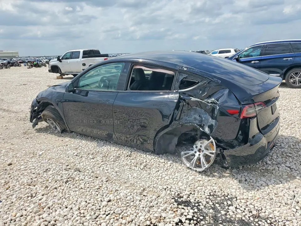 2024 TESLA MODEL Y   