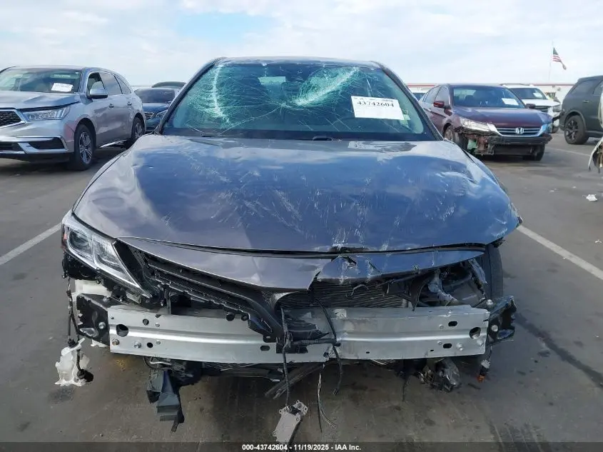 2019 TOYOTA CAMRY LE