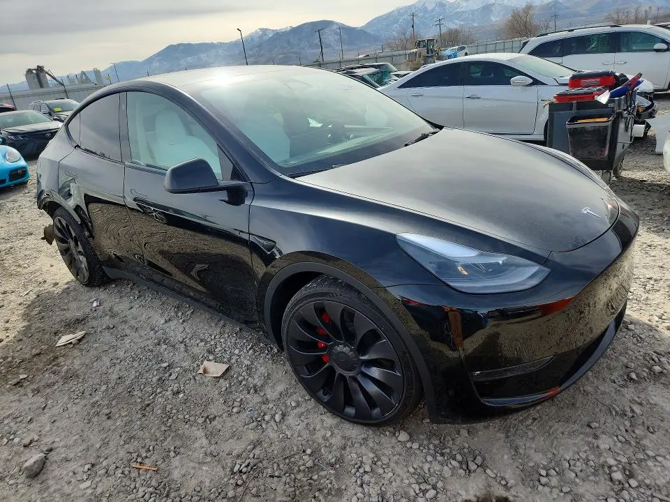 2023 TESLA MODEL Y   