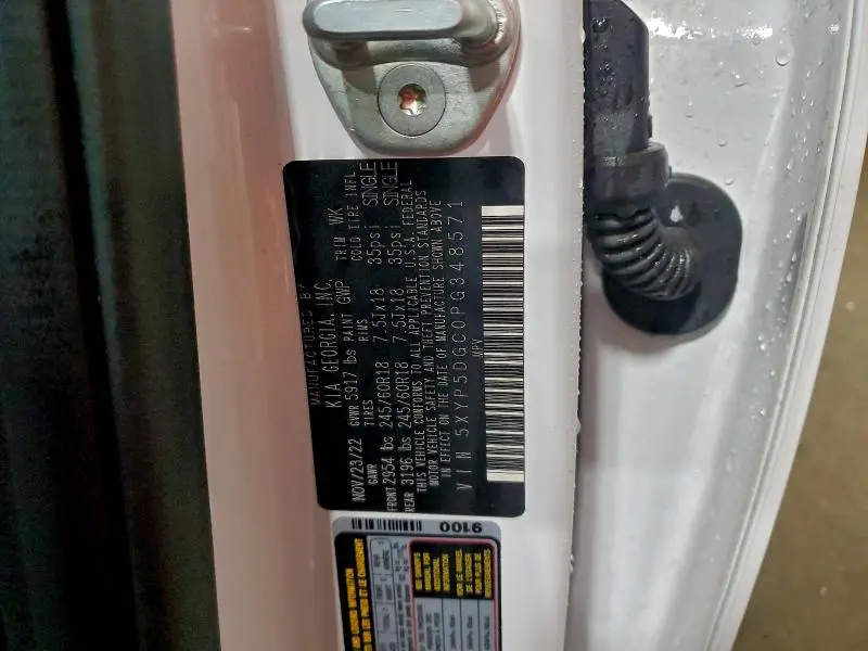 2023 KIA TELLURIDE SX  