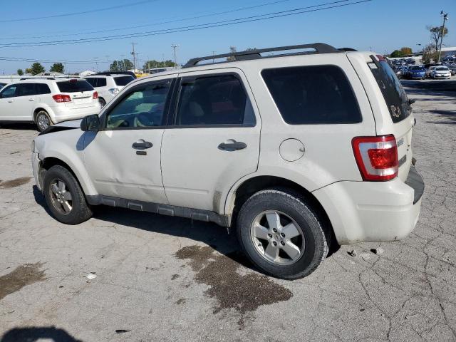 2011 FORD ESCAPE XLT