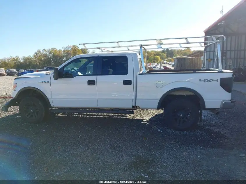 2014 FORD F-150 XLT