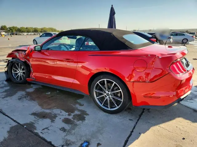 2019 FORD MUSTANG   