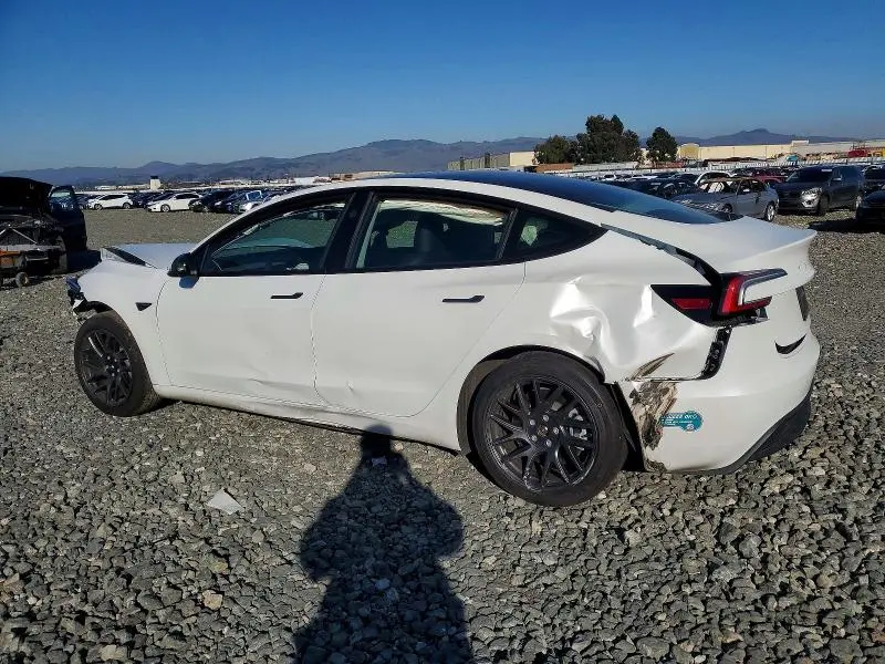 2025 TESLA MODEL 3   