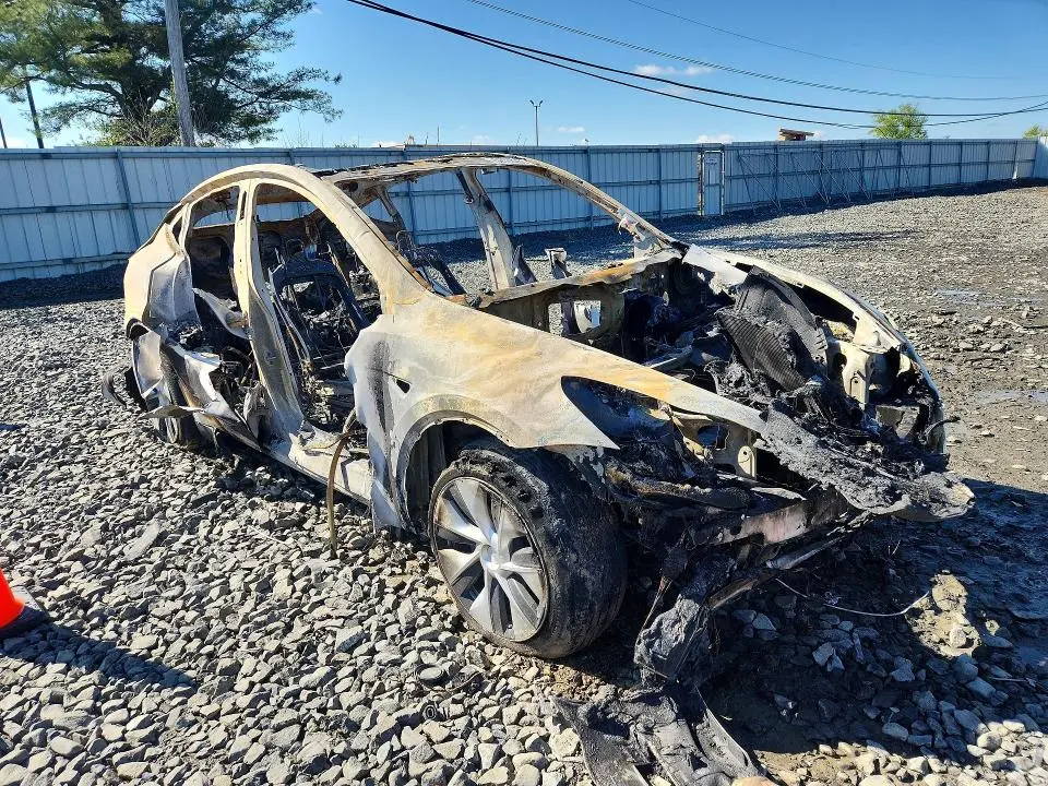 2020 TESLA MODEL Y   