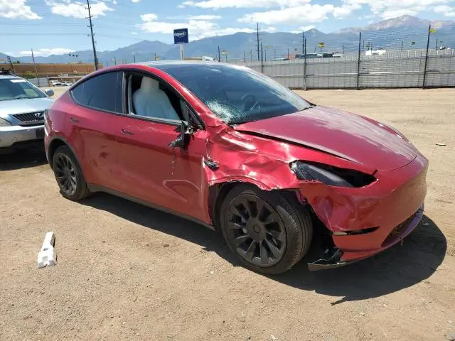 2024 TESLA MODEL Y   