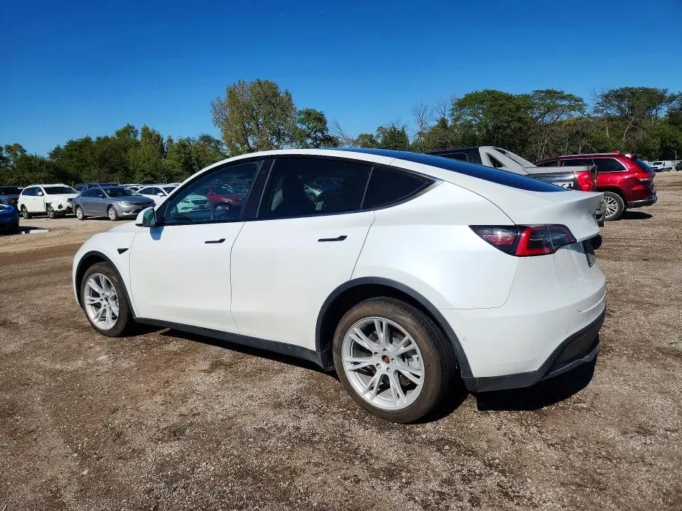 2021 TESLA MODEL Y   