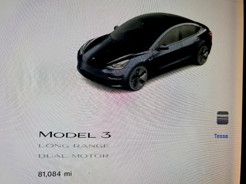 2021 TESLA MODEL 3   