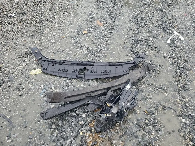 2019 TOYOTA AVALON XLE  