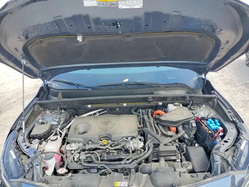 2024 TOYOTA VENZA LE  