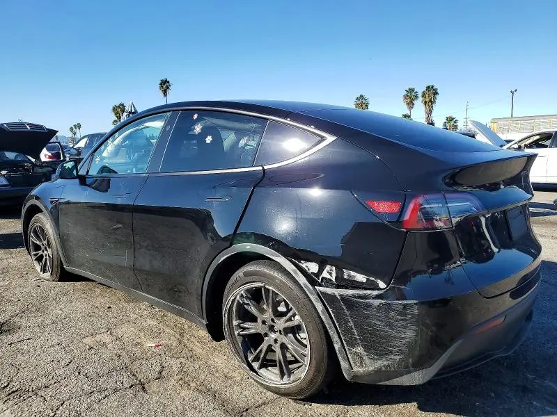 2024 TESLA MODEL Y   