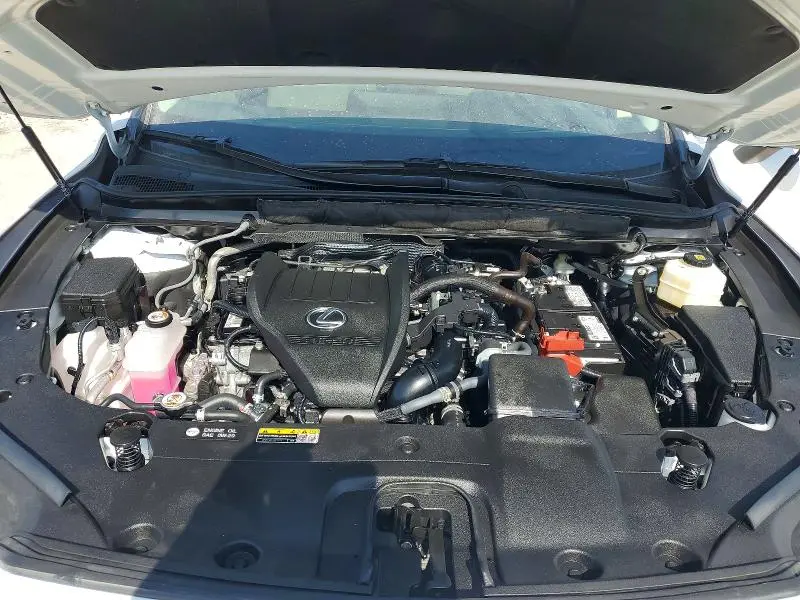 2025 LEXUS RX 350 PREMIUM+  