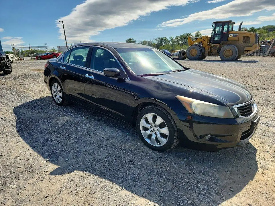 2010 HONDA ACCORD EXL  