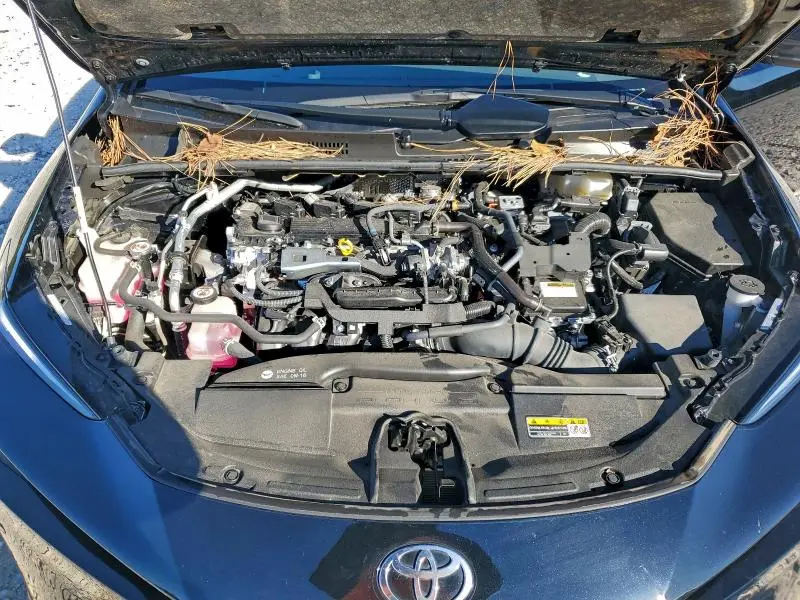 2024 TOYOTA PRIUS LE  