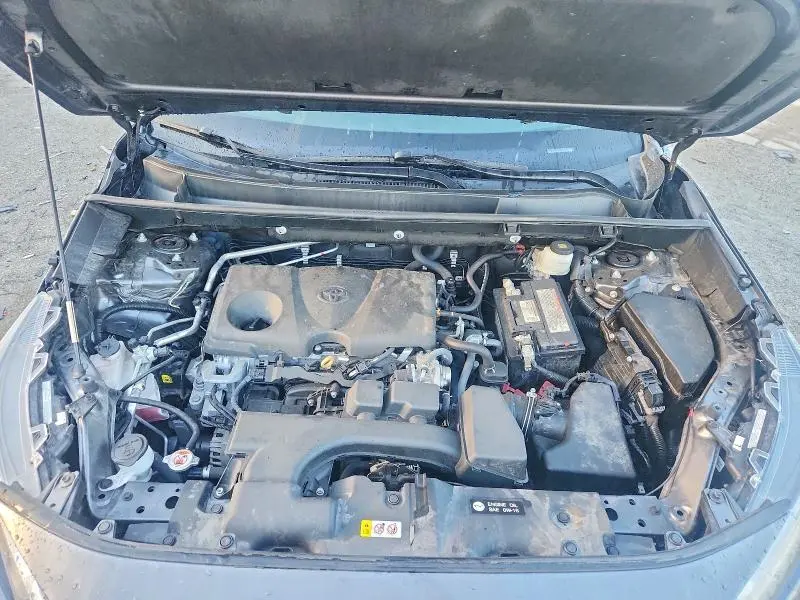 2023 TOYOTA RAV4 LE  