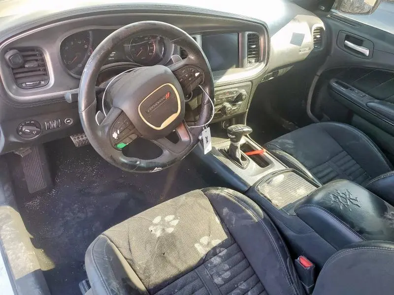 2019 DODGE CHARGER R/T  