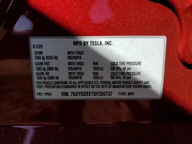 2025 TESLA MODEL Y 