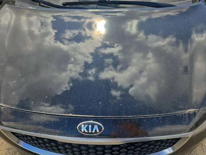 2016 KIA SEDONA EX  