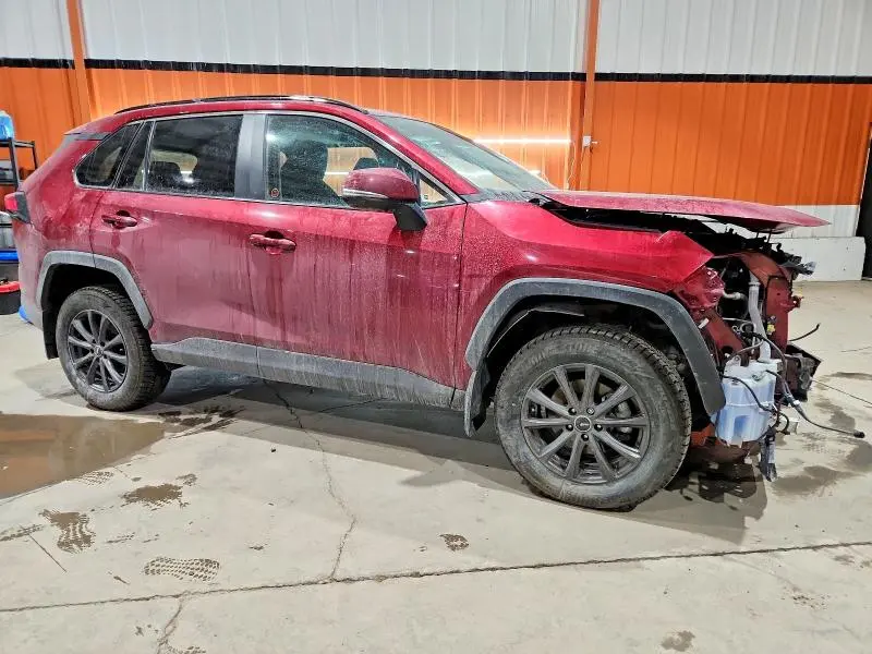 2019 TOYOTA RAV4 XLE  