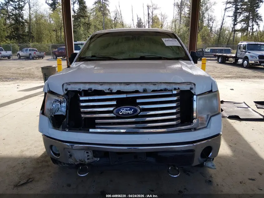 2010 FORD F-150 FX4/HARLEY-DAVIDSON/KING RANCH/LARIAT/PLATINUM/XL/XLT