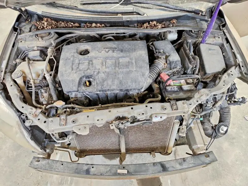 2010 TOYOTA COROLLA LE  