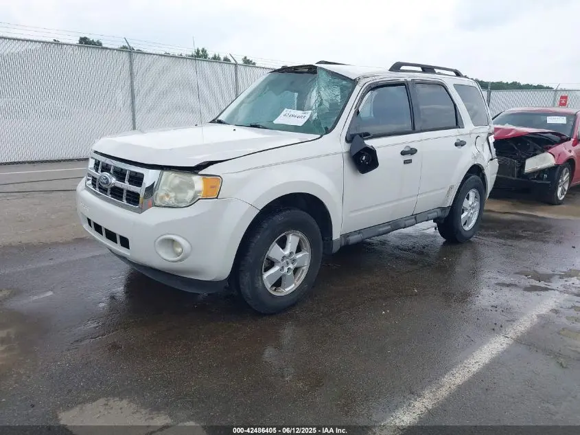 2010 FORD ESCAPE XLT