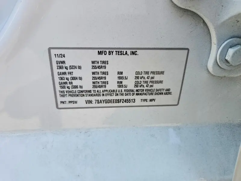 2025 TESLA MODEL Y   