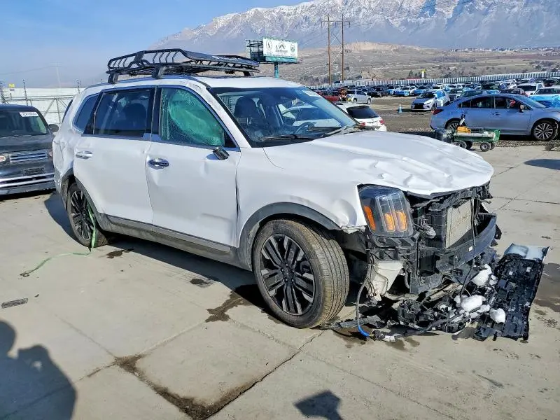 2025 KIA TELLURIDE SX  