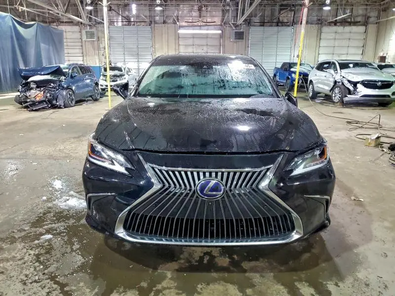2019 LEXUS ES 300H  