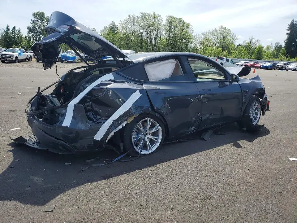 2024 TESLA MODEL Y   
