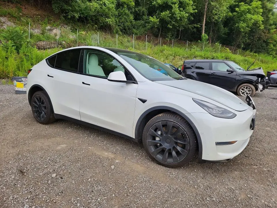 2021 TESLA MODEL Y   