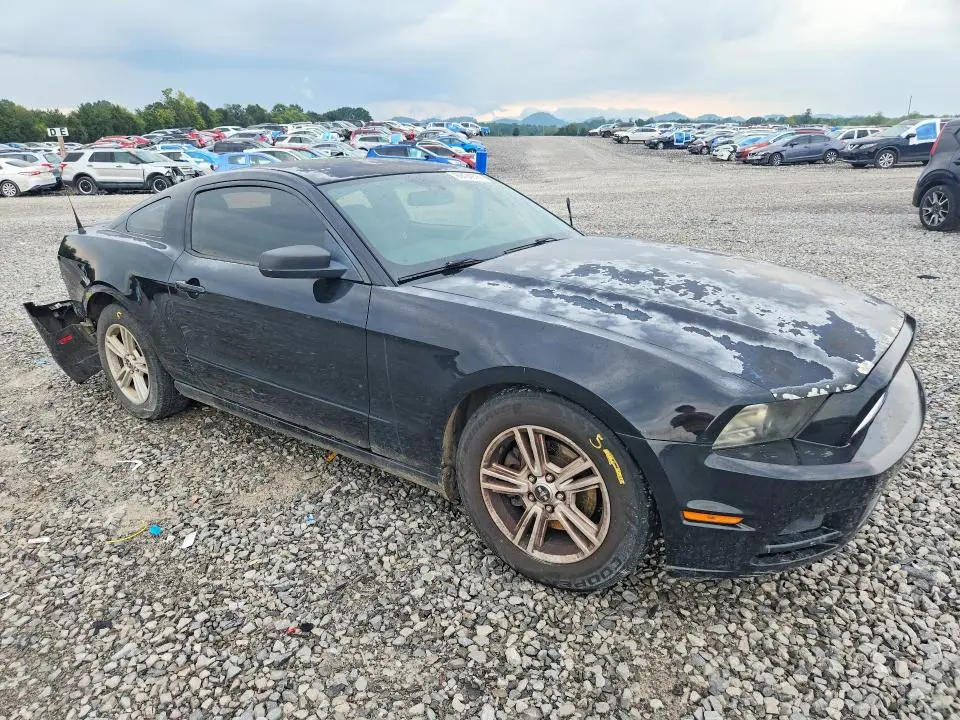2014 FORD MUSTANG   