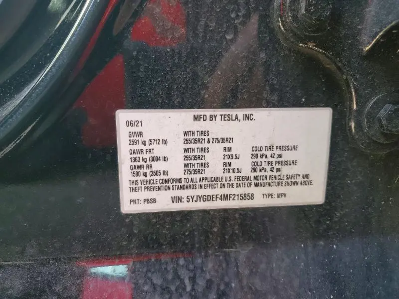 2021 TESLA MODEL Y   