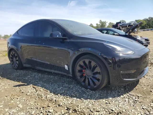2023 TESLA MODEL Y   