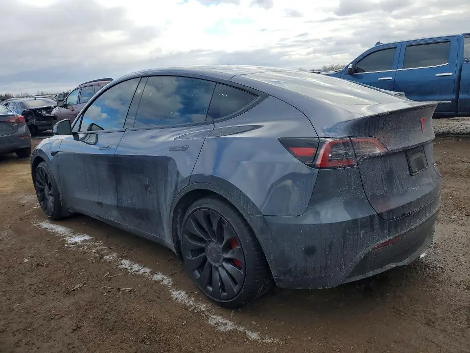 2023 TESLA MODEL Y   