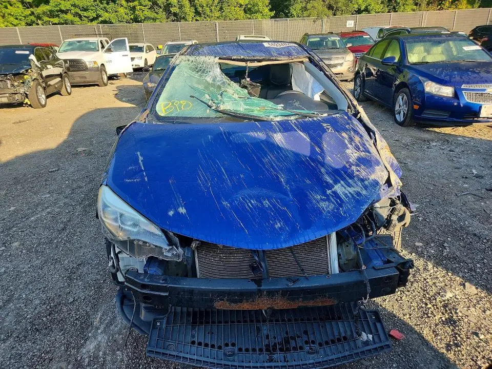 2019 TOYOTA COROLLA SE  