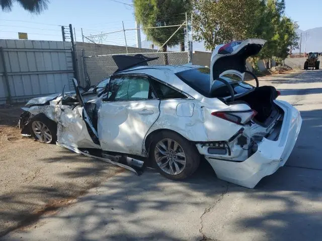 2019 TOYOTA AVALON XLE  