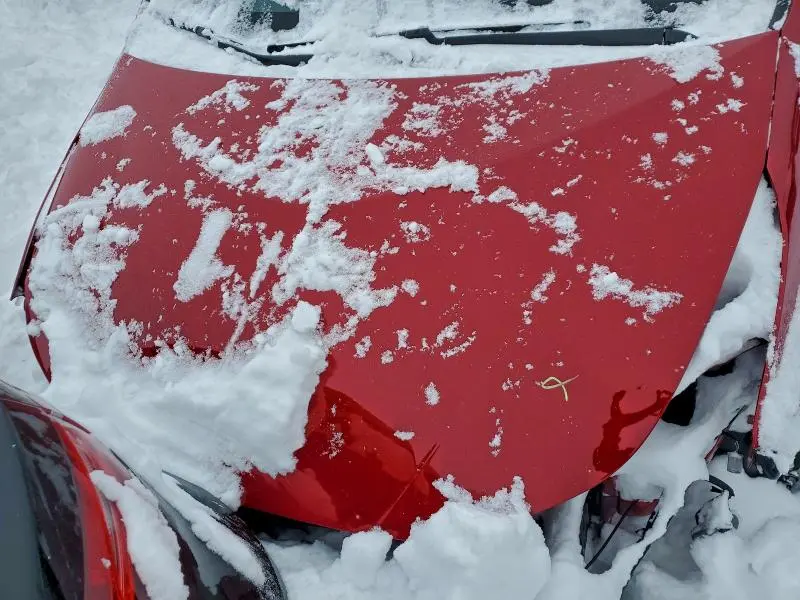 2021 TOYOTA PRIUS LE  