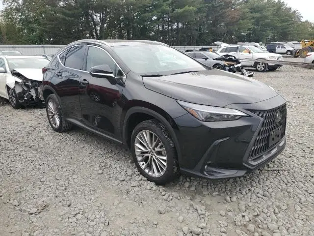 2025 LEXUS NX 350 PREMIUM  