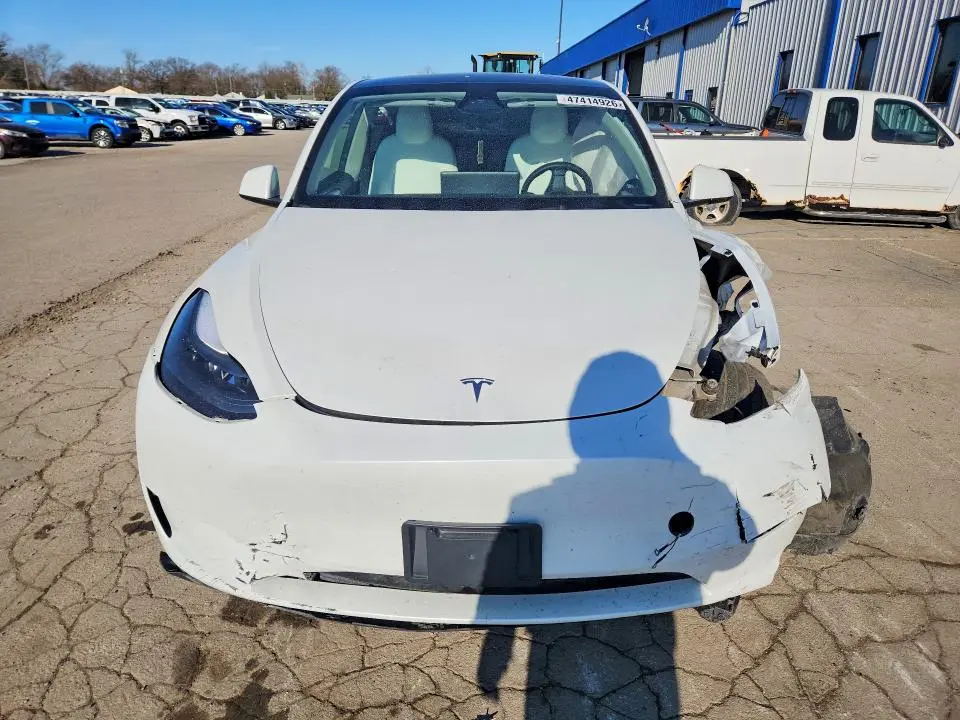 2024 TESLA MODEL Y   