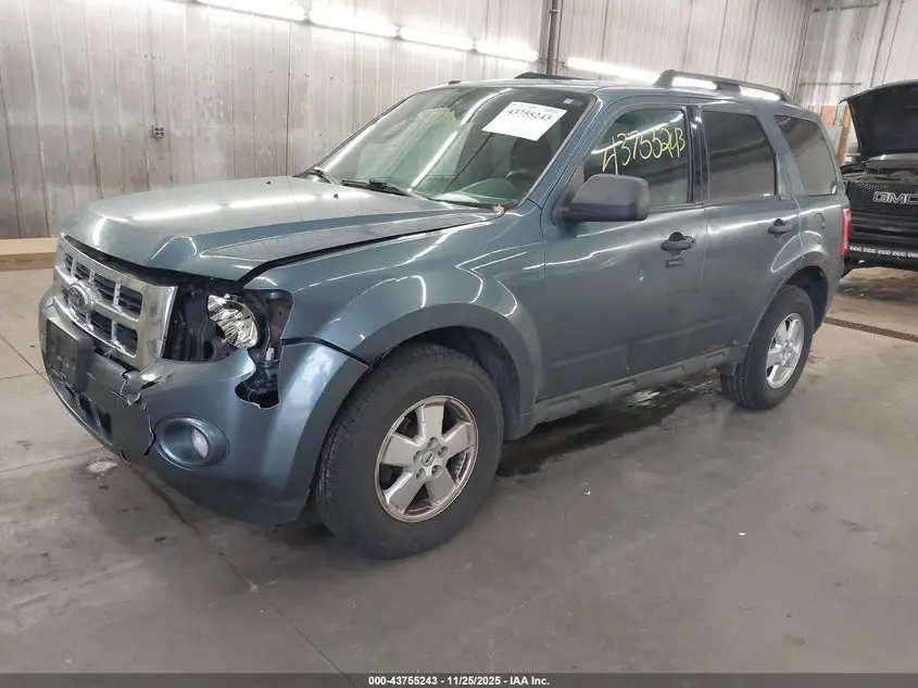 2011 FORD ESCAPE XLT