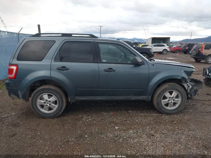 2010 FORD ESCAPE XLT
